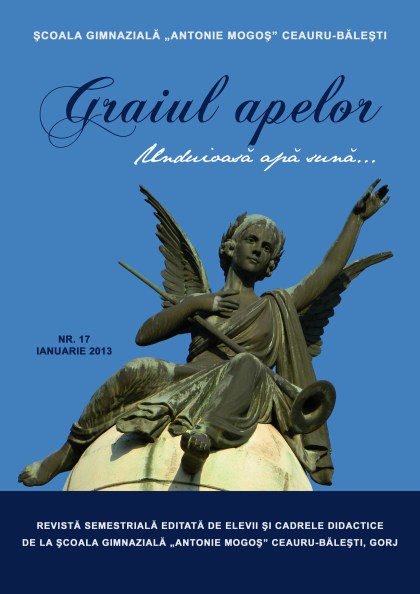 COPERTA GRAIUL APELOR copy